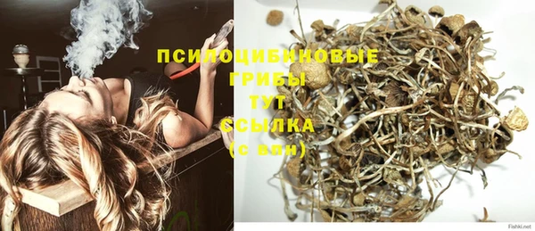 марки lsd Новозыбков