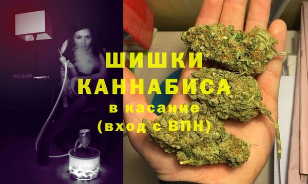 альфа пвп Новодвинск