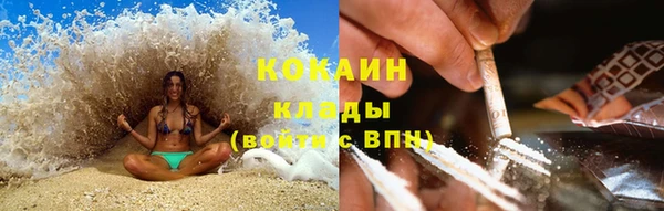 альфа пвп Новодвинск