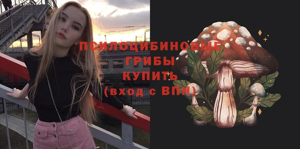 альфа пвп Новодвинск