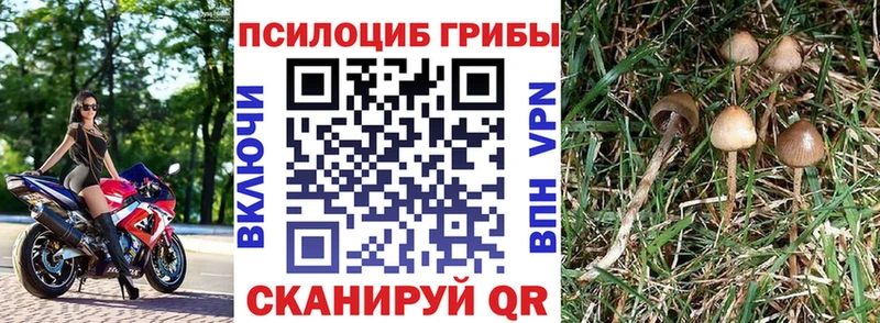 Галлюциногенные грибы мухоморы мориарти наркотические препараты Карталы
