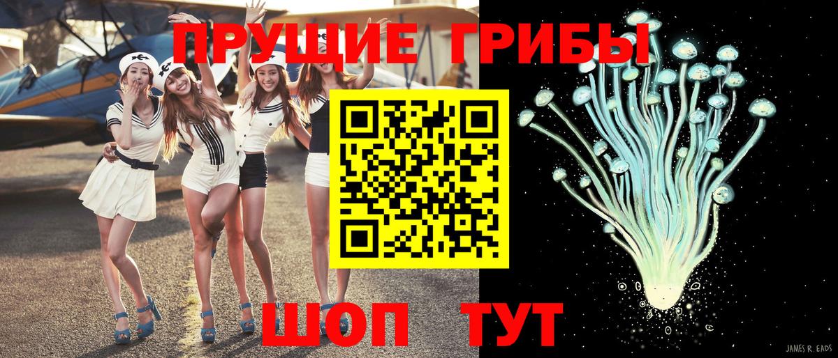 Псилоцибиновые грибы MAGIC MUSHROOMS Карталы