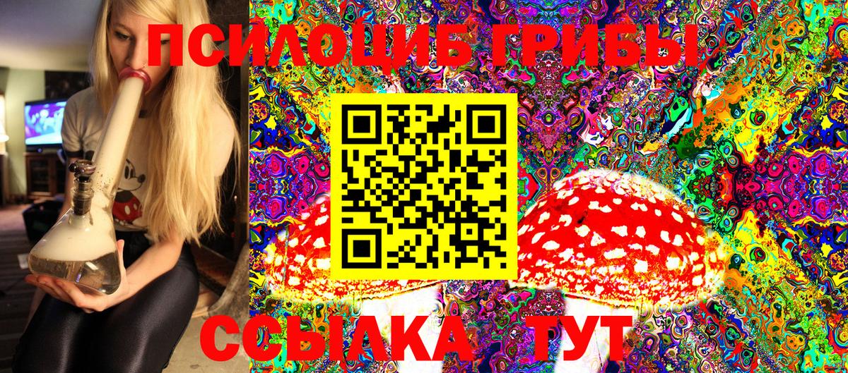 Галлюциногенные грибы Magic Shrooms Карталы